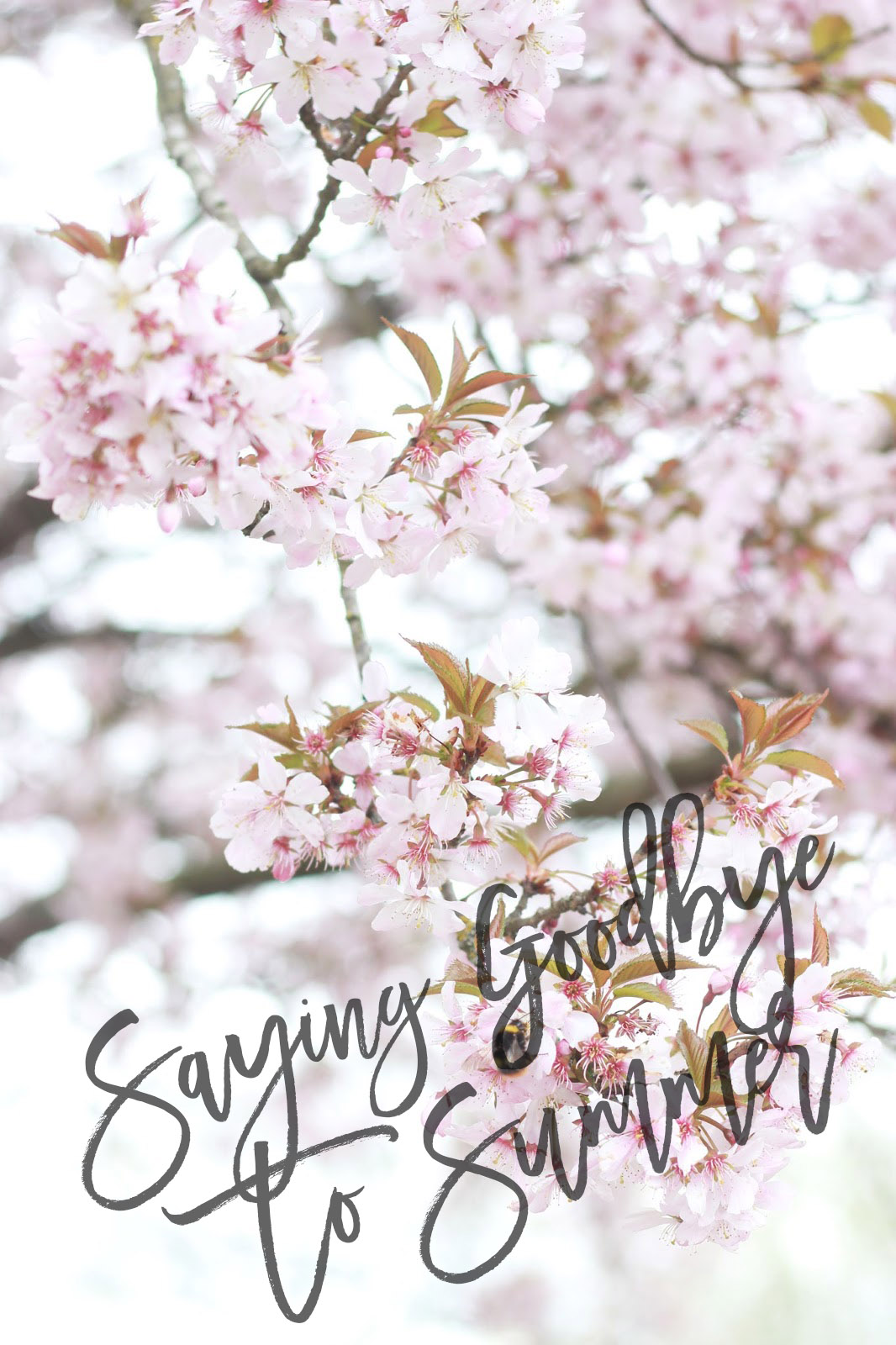 Saying Goodbye To Summer. | Pint Sized Beauty | Bloglovin’